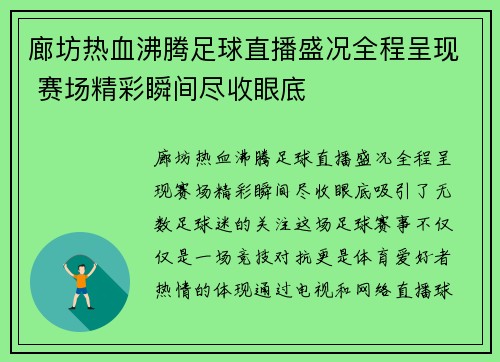 廊坊热血沸腾足球直播盛况全程呈现 赛场精彩瞬间尽收眼底